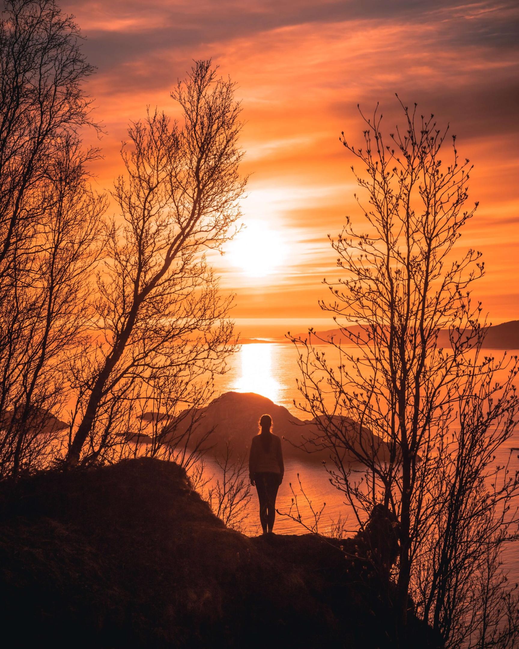 Adaptive Not Faulty Blog - a woman facing away, standing on a hillside between barren trees, and she's looking at the sunset on the water