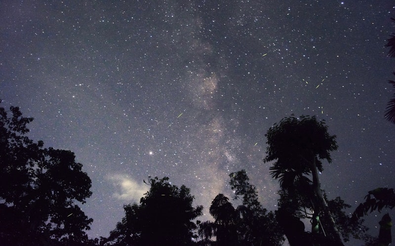 Dark, Yet Peaceful blog post, image is starry night sky with tree silhouettes