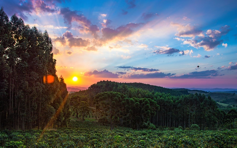 sunrising over lush green forest and hills, colorful sky and clouds