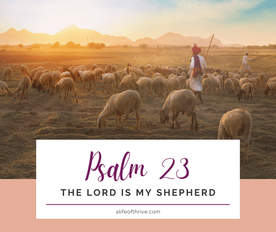 shepherd in the field with sheep, Psalm 23