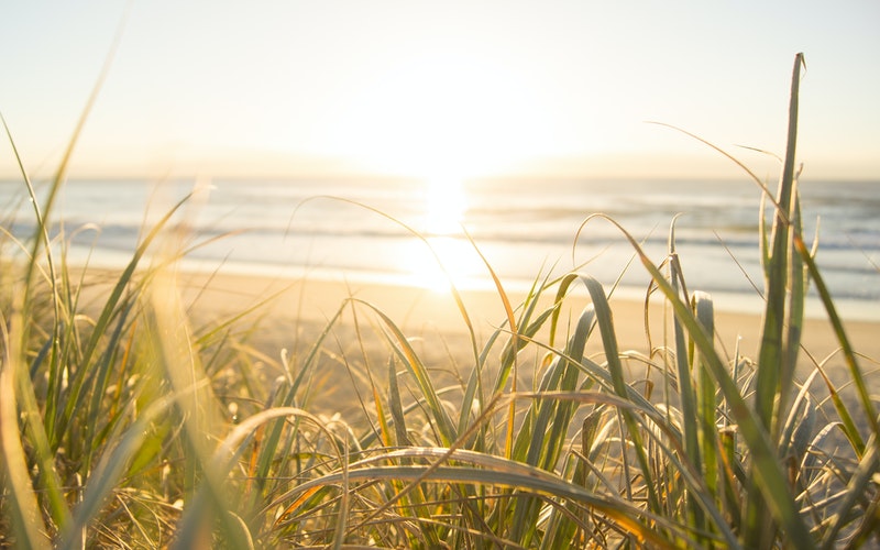Beach view from the beach grass, You Already Have Joy