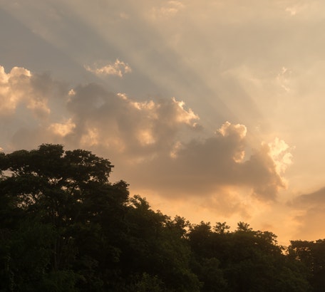 sun rising behind the trees, white clouds illuminated with the sun, The Best is Yet to Come, Meredith Bunting